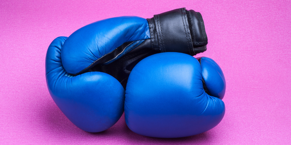 2 blauwe bokshandschoenen, als symbool bij de titel Herman versus Hans - wie wint de strijd?